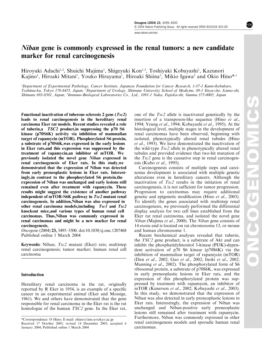 Niban Gene Is Commonly Expressed in the Renal Tumors: a New Candidate Marker for Renal Carcinogenesis