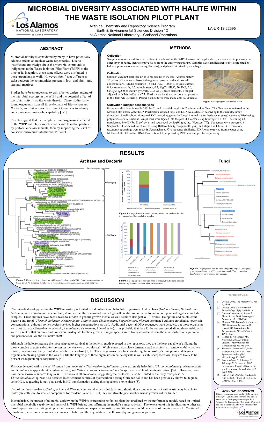 Microbial Diversity Associated with Halite Within The