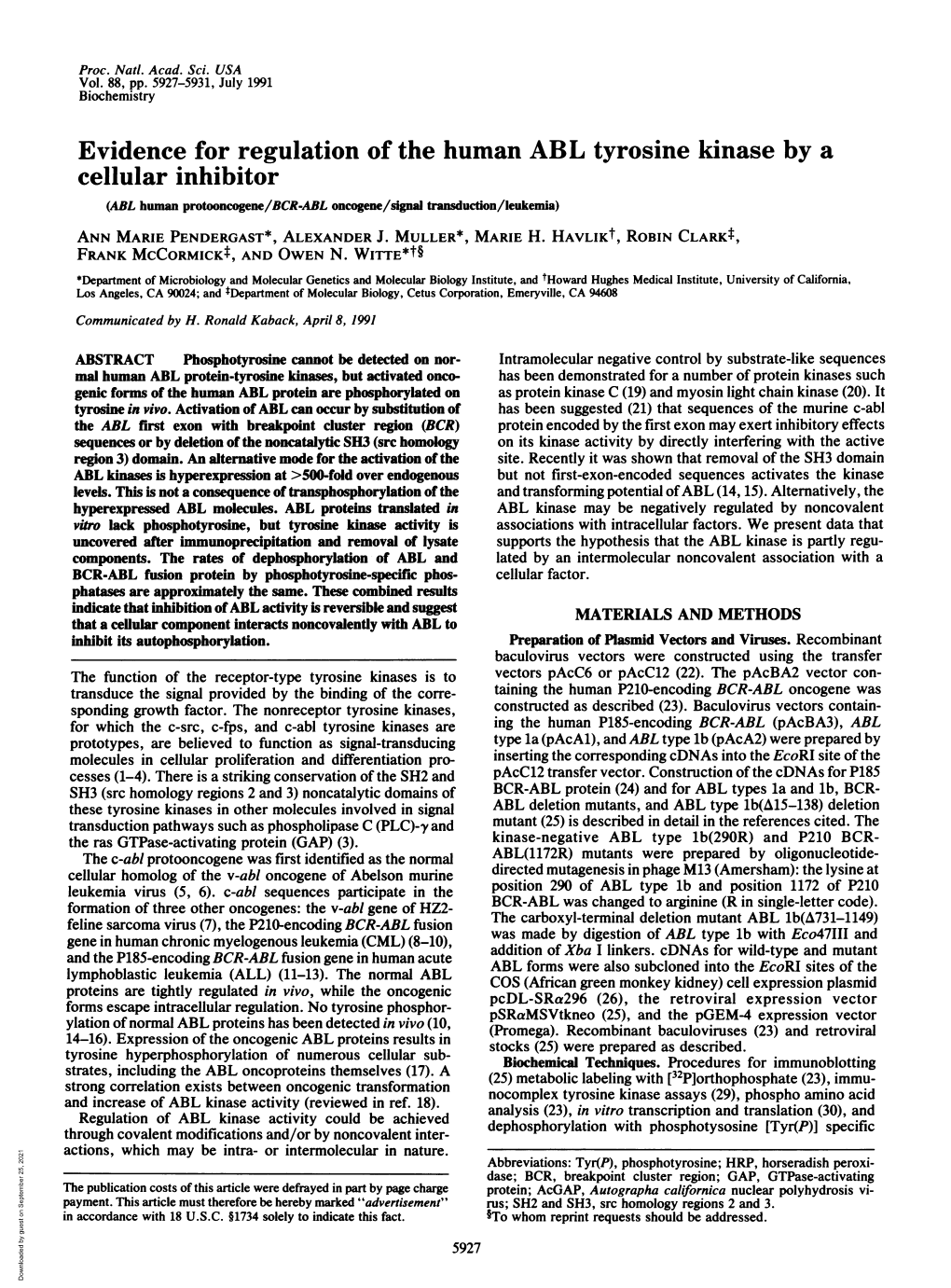 Evidence for Regulation of the Human ABL Tyrosine Kinase by A