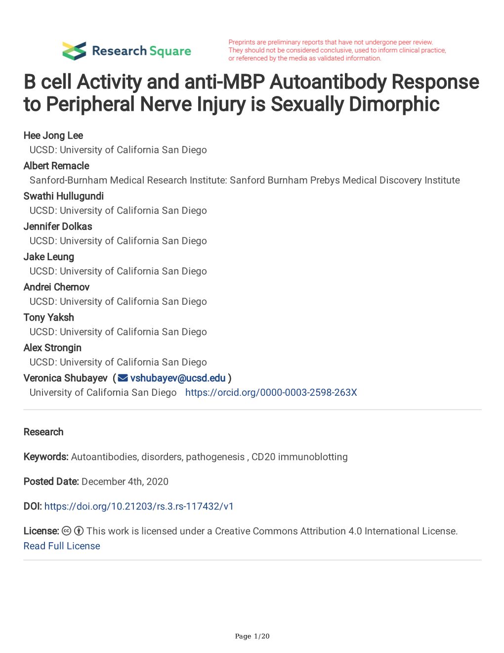 B Cell Activity and Anti-MBP Autoantibody Response to Peripheral Nerve Injury Is Sexually Dimorphic