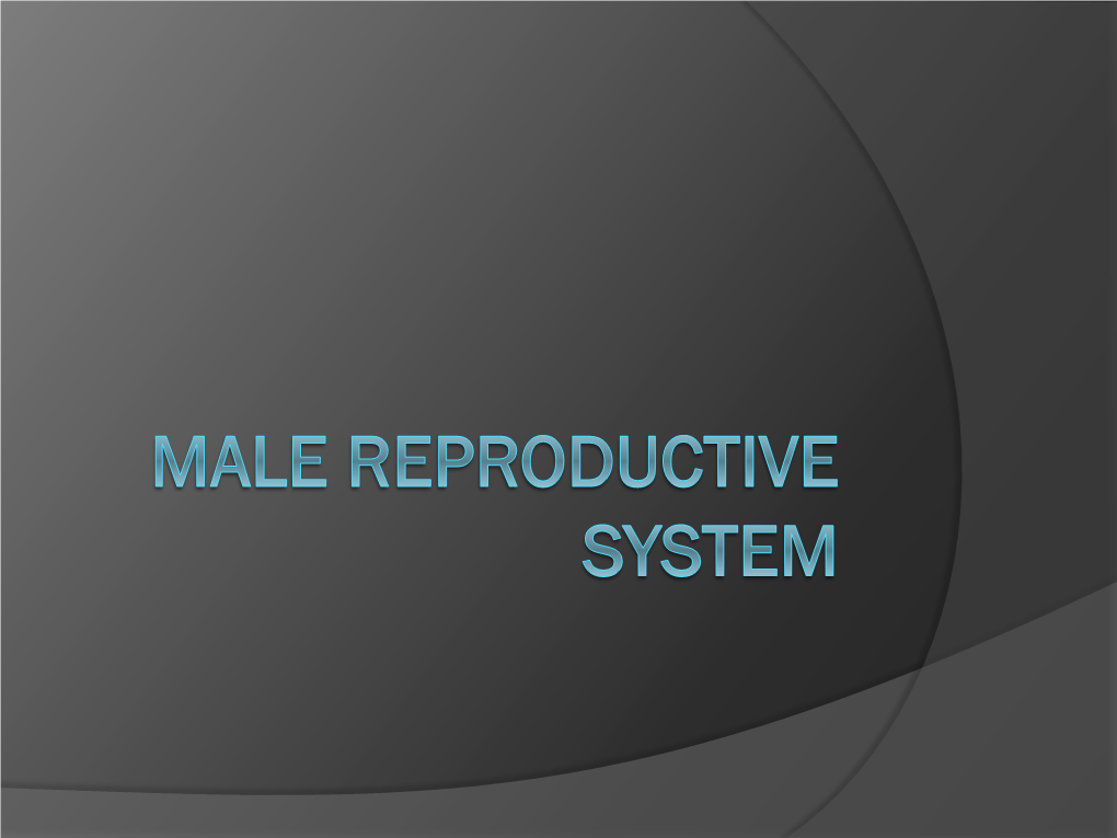 Lab Ex. 59 & 61 Male Reproductive System