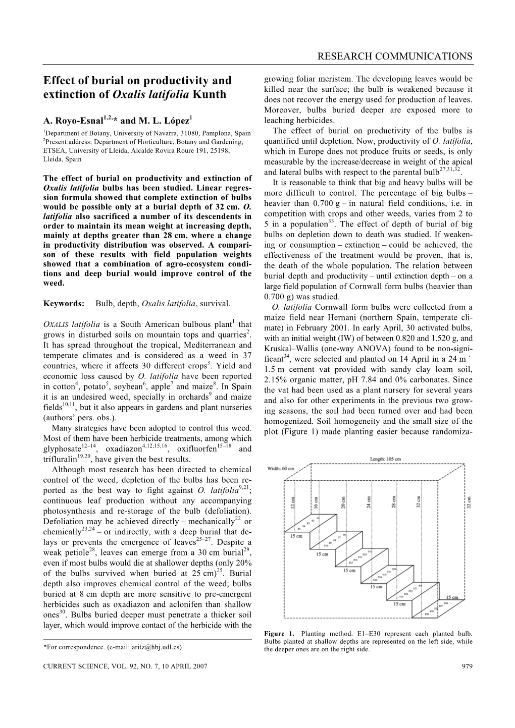 Effect of Burial on Productivity and Extinction of Oxalis Latifolia Kunth