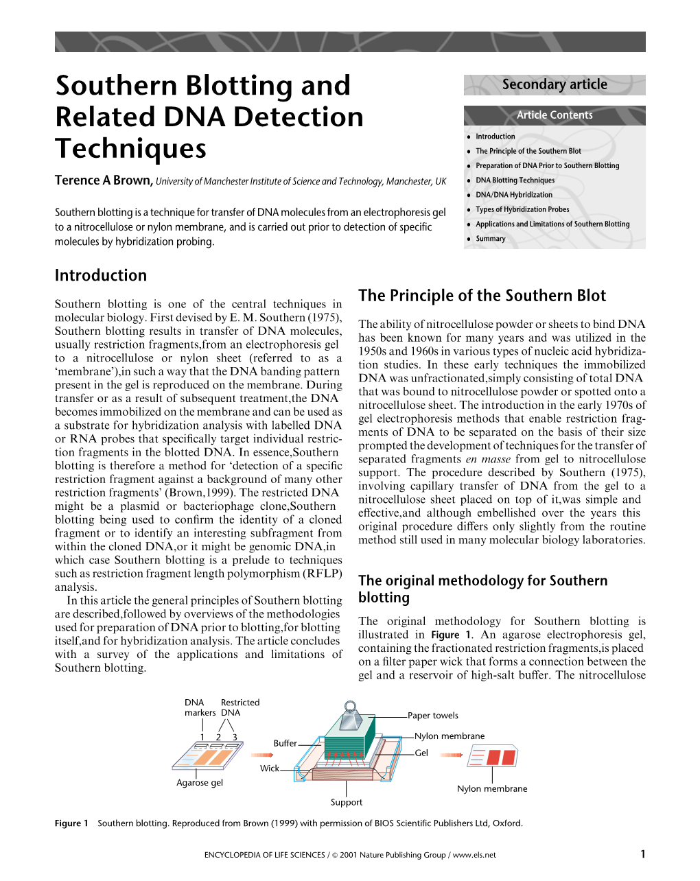 Southern Blotting and Related DNA Detection Techniques