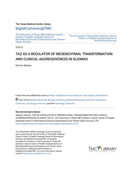 Taz As a Regulator of Mesenchymal Transformation and Clinical Aggressiveness in Gliomas