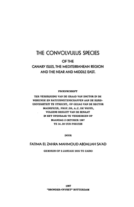 The Convolvulus Species