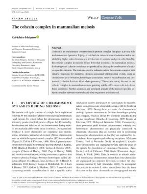 The Cohesin Complex in Mammalian Meiosis