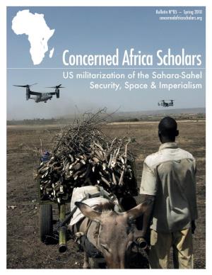 Concerned Africa Scholars