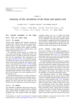Anatomy of the Circulation of the Brain and Spinal Cord