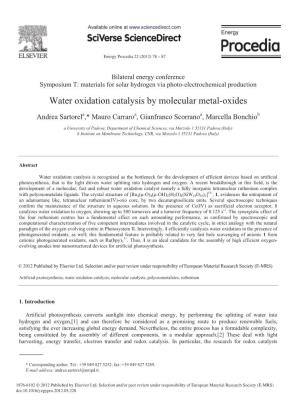 Water Oxidation Catalysis by Molecular Metal-Oxides