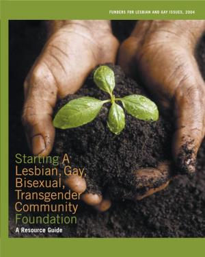 Starting a Lesbian,Gay, Bisexual, Transgender Community Foundation