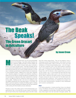 The Beak Speaks! the Green Aracari in Aviculture
