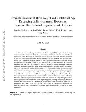 Bivariate Analysis of Birth Weight and Gestational Age Depending on Environmental Exposures: Bayesian Distributional Regression with Copulas
