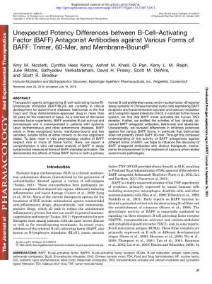 Antagonist Antibodies Against Various Forms of BAFF: Trimer, 60-Mer, and Membrane-Bound S