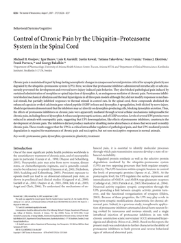 Control of Chronic Pain by the Ubiquitin–Proteasome System in the Spinal Cord