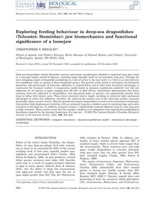 Exploring Feeding Behaviour in Deep-Sea Dragonﬁshes (Teleostei: Stomiidae): Jaw Biomechanics and Functional Signiﬁcance of a Loosejaw