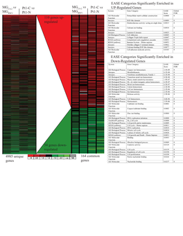 Supplement 1 Microarray Studies