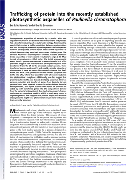 Trafficking of Protein Into the Recently Established Photosynthetic