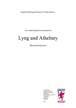 Download Lyng and Athelney Report