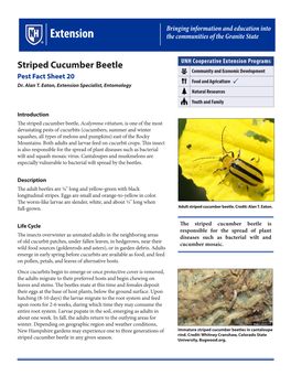 Striped Cucumber Beetle Pest Fact Sheet 20 Dr