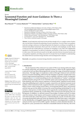 Lysosomal Function and Axon Guidance: Is There a Meaningful Liaison?