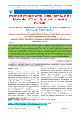 Imaging of the Male Genital Tract: a Review of the Mechanism of Sperm Quality Impairment in Infertility