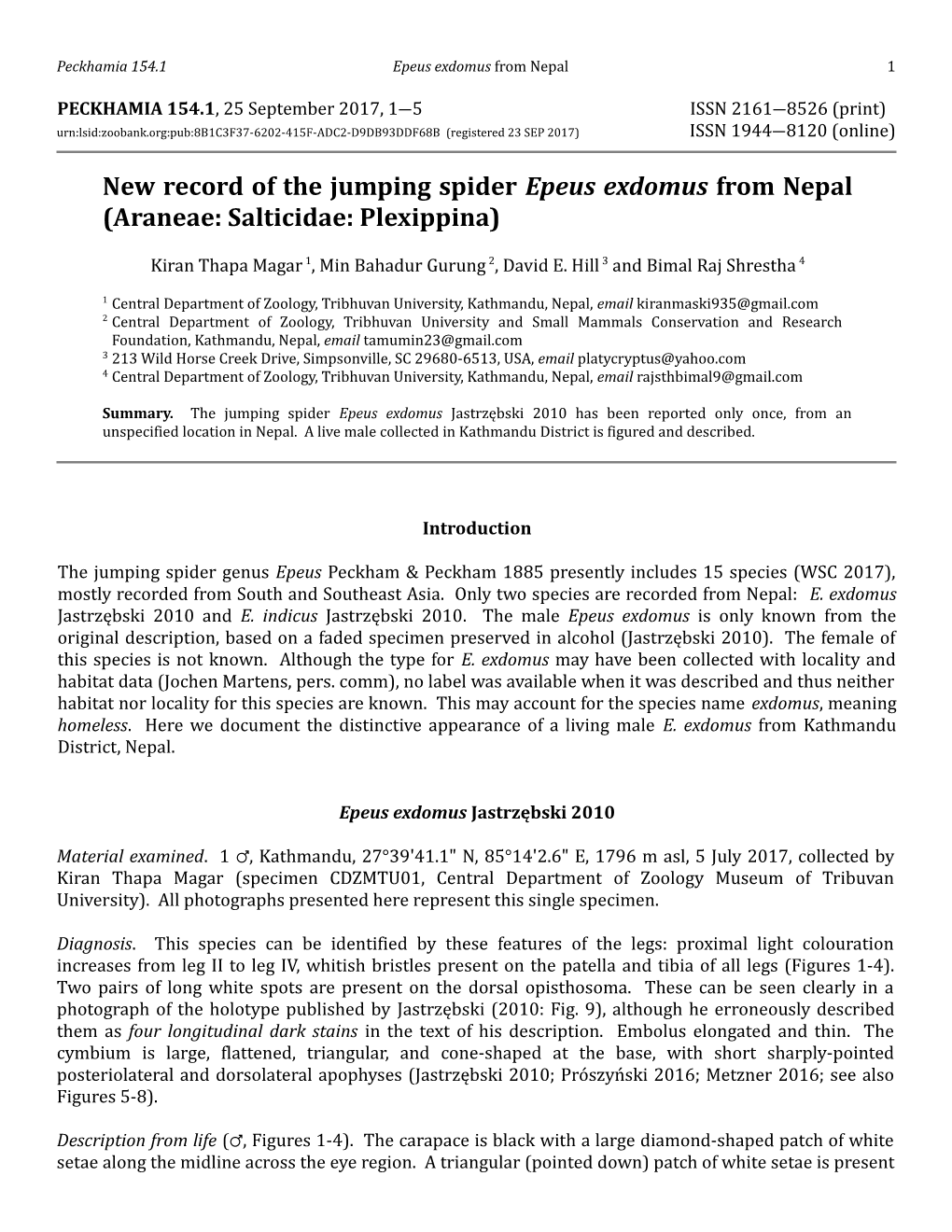 New Record of the Jumping Spider Epeus Exdomus from Nepal (Araneae: Salticidae: Plexippina)