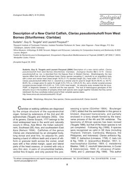 Description of a New Clariid Catfish, Clarias Pseudonieuhofii from West Borneo (Siluriformes: Clariidae) Sudarto1, Guy G