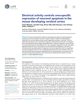 Electrical Activity Controls Area-Specific Expression Of