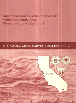 Mineral Resources of the Mecca Hills Wilderness Study Area; Riverside County, California