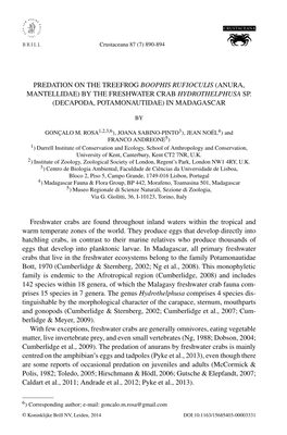 Predation on the Treefrog Boophis Rufioculis (Anura, Mantellidae) by the Freshwater Crab Hydrothelphusa Sp