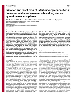 Initiation and Resolution of Interhomolog Connections: Crossover and Non-Crossover Sites Along Mouse Synaptonemal Complexes