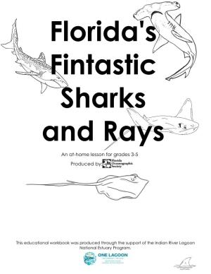 Florida's Fintastic Sharks and Rays Lesson and Activity Packet