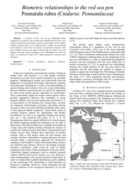 Biometric Relationships in the Red Sea Pen Pennatula Rubra (Cnidaria: Pennatulacea)