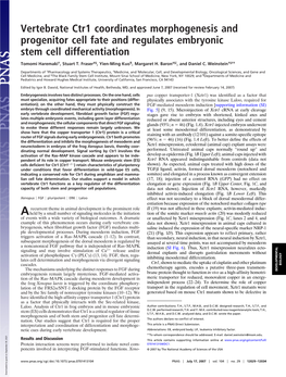 Vertebrate Ctr1 Coordinates Morphogenesis and Progenitor Cell Fate and Regulates Embryonic Stem Cell Differentiation