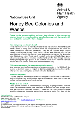 Honey Bee Colonies and Wasps