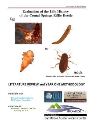 Riffle Beetle Life History Study