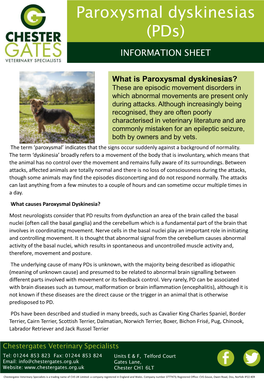 Information on Paroxysmal Dyskinesia