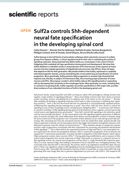 Sulf2a Controls Shh-Dependent Neural Fate Specification in the Developing Spinal Cord