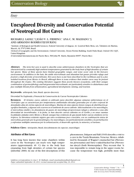 Unexplored Diversity and Conservation Potential of Neotropical Hot Caves