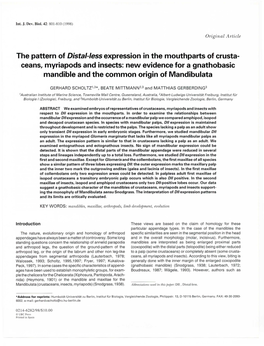 The Pattern of Distal-Less Expression Inthe Mouthparts Ofcrusta- Ceans, Myriapods and Insects: New Evidence for a Gnathobasic Ma