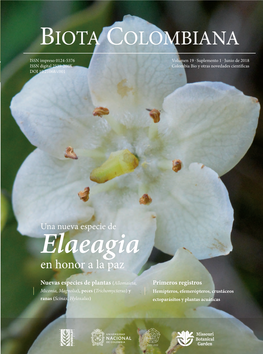 Elaeagia (Rubiaceae), De La Cordillera Oriental De Colombia