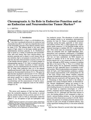 Chromogranin A: Its Role in Endocrine Function and As an Endocrine and Neuroendocrine Tumor Marker*