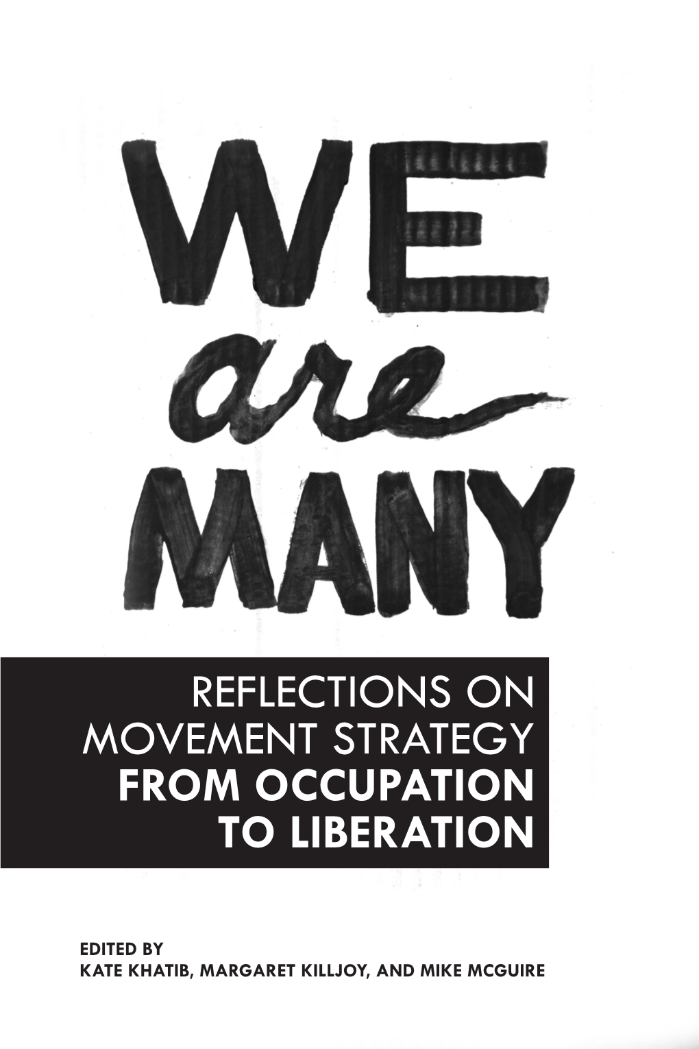 Reflections on Movement Strategy from Occupation to Liberation