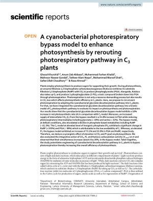 A Cyanobacterial Photorespiratory Bypass Model to Enhance