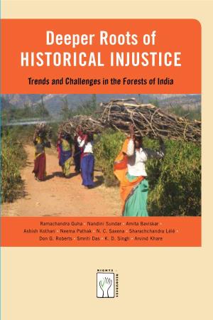 Deeper Roots of Historical Injustice: Trends and Challenges in the Forests of India