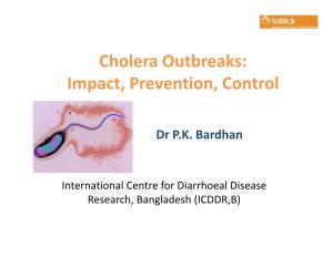 Cholera Outbreaks: Impact, Prevention, Control