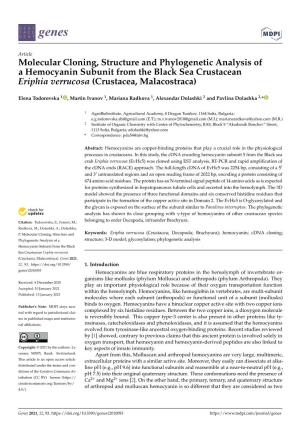 Molecular Cloning, Structure and Phylogenetic Analysis of a Hemocyanin Subunit from the Black Sea Crustacean Eriphia Verrucosa (Crustacea, Malacostraca)