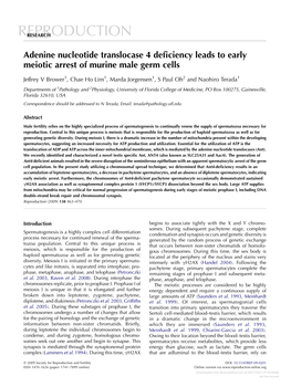 Polymorphisms in Double-Strand Breaks Repair Genes Are Associated