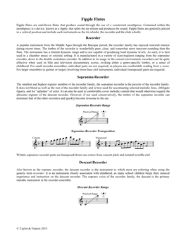 Fipple Flutes Fipple Flutes Are End-Blown Flutes That Produce Sound Through the Use of a Constricted Mouthpiece