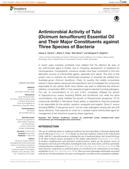 Antimicrobial Activity of Tulsi (Ocimum Tenuiflorum) Essential Oil